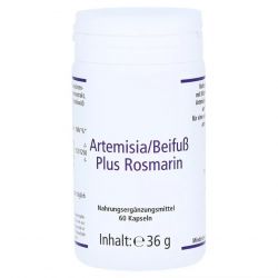 Артемизинин 150 мг капс. 60шт в Вологде и области фото