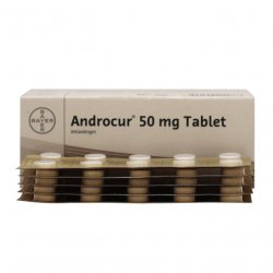 Андрокур (Ципротерон) таблетки 50мг №50 в Вологде и области фото